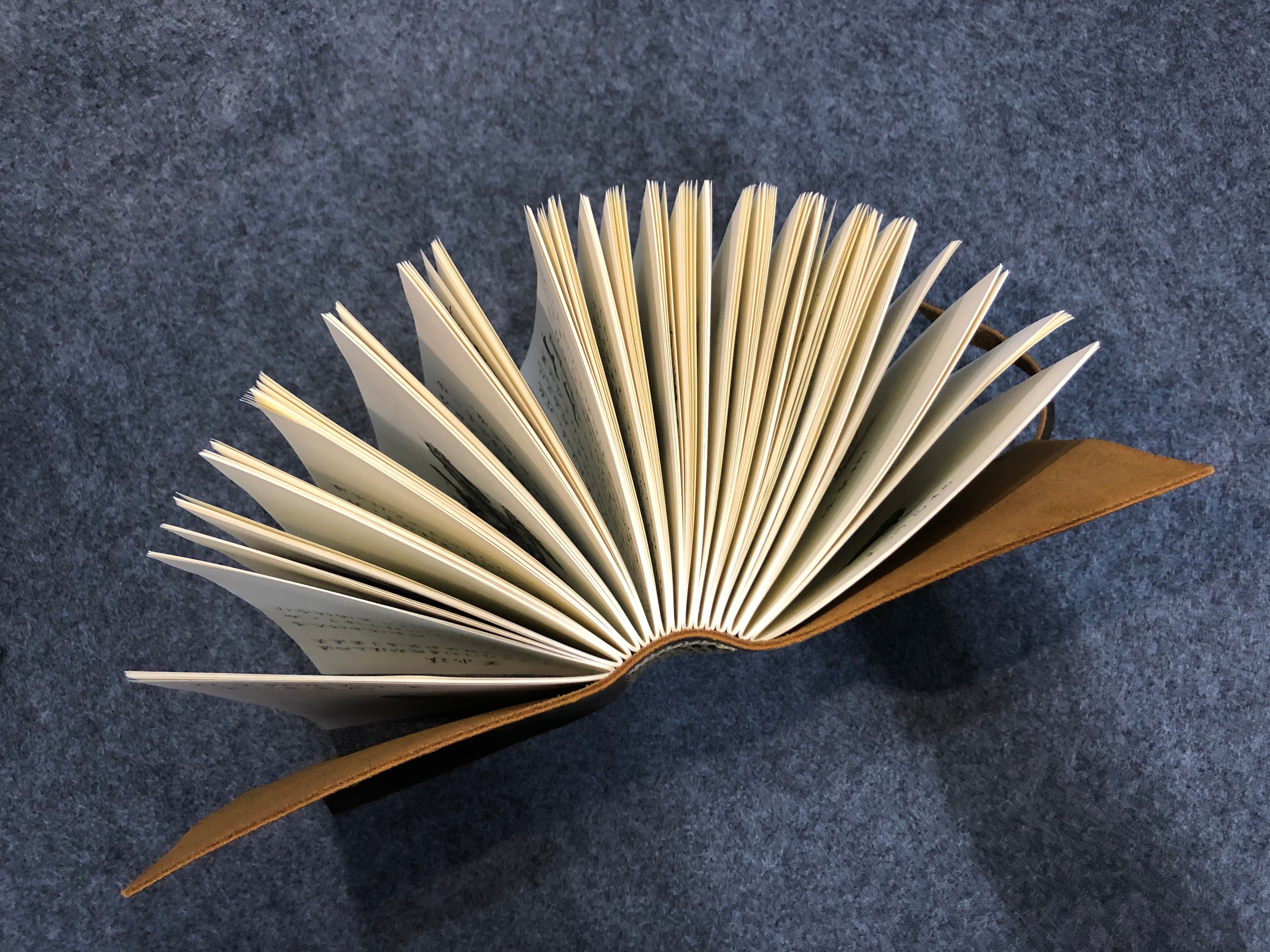 Arthur’s Journal — 650 Pages — Book