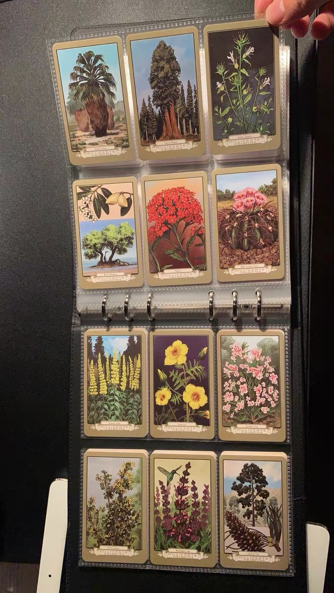 Cigarette Card