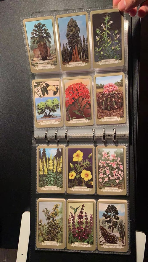 Cigarette Card