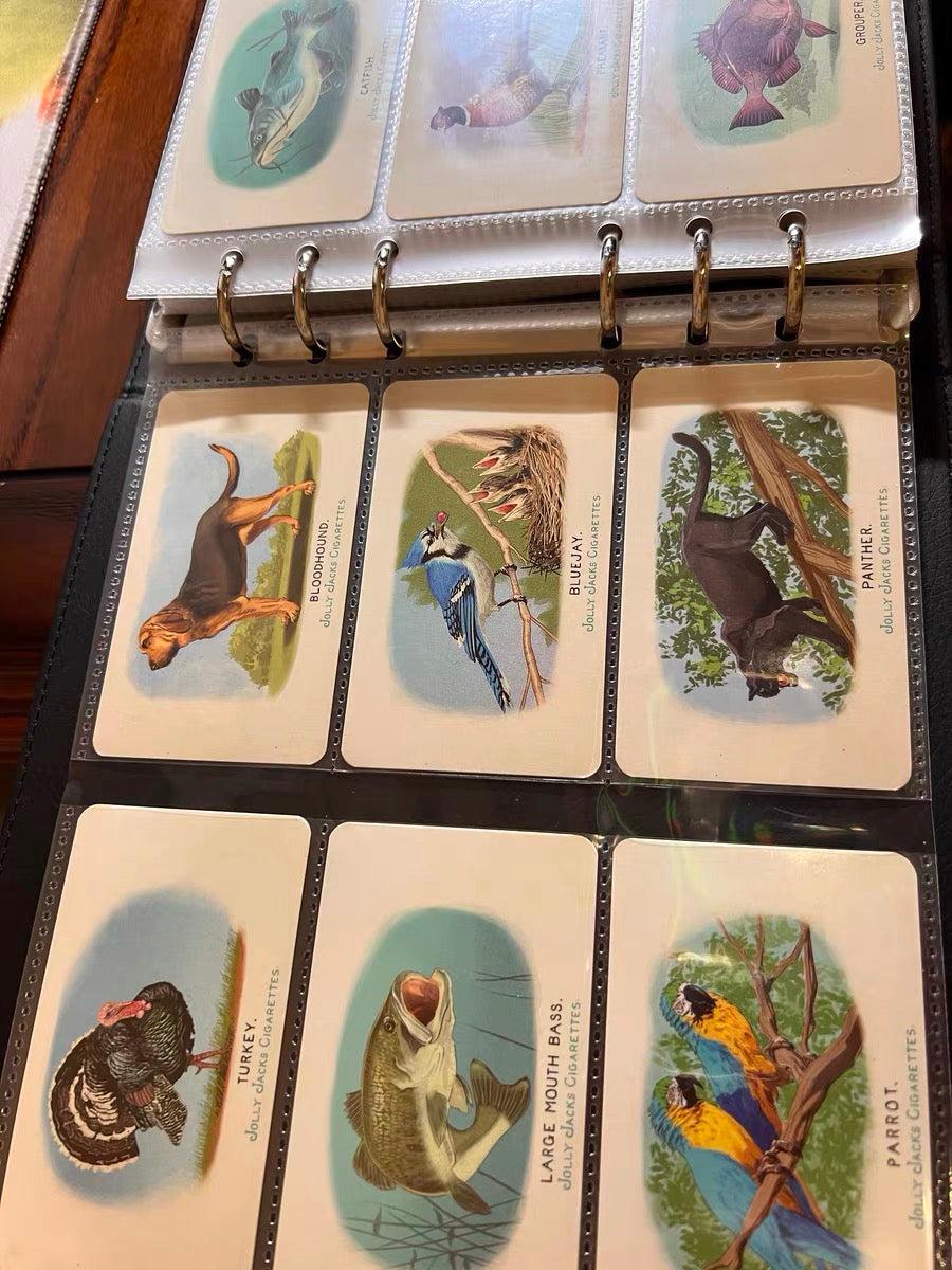 Cigarette Card
