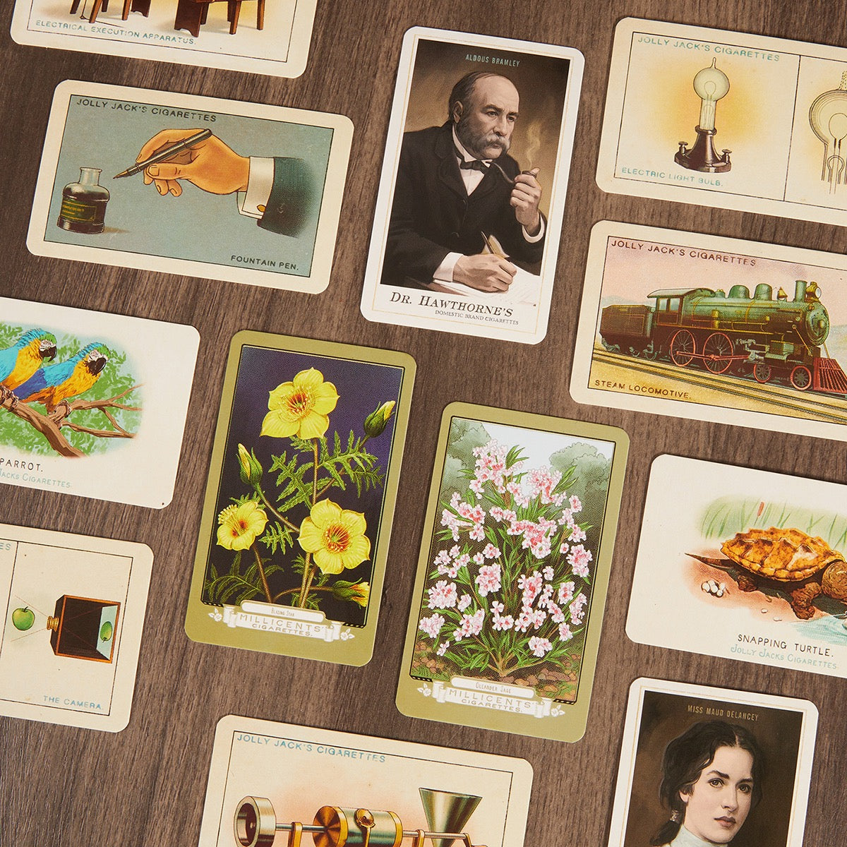 Cigarette Card