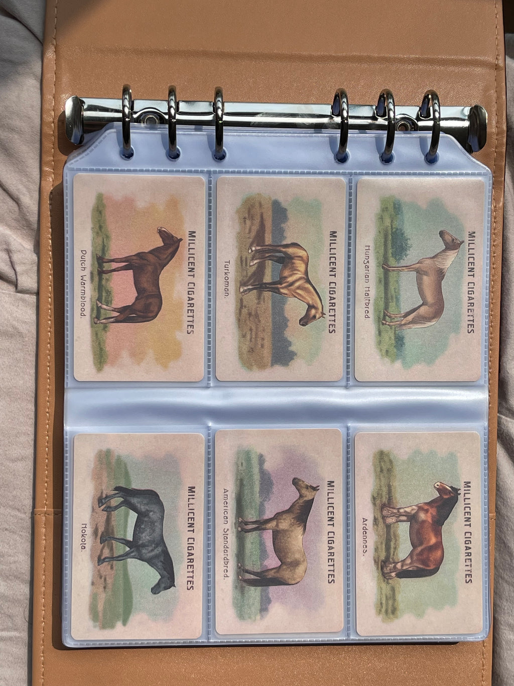 Cigarette Card